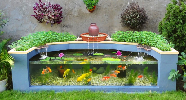 Aquarium outdoor dengan desain minimalis dan ikan mas koki